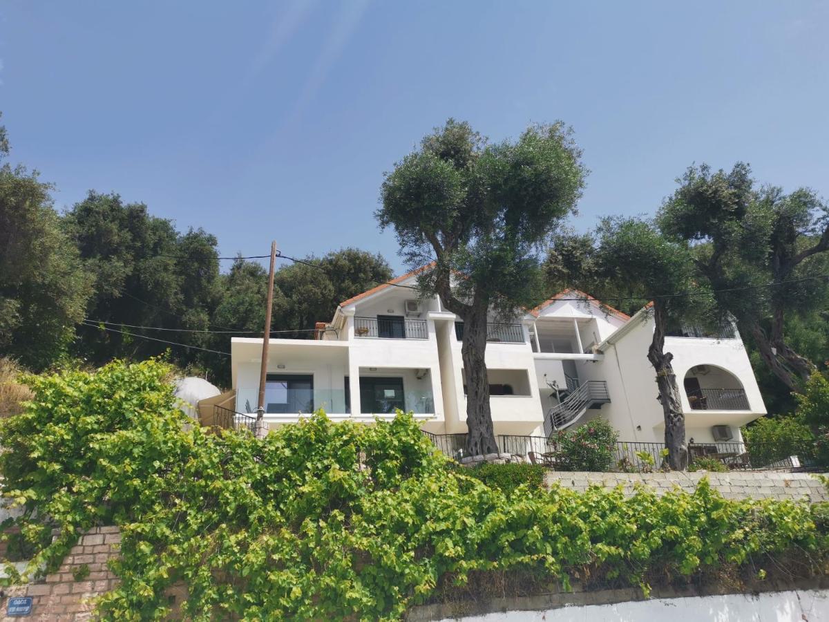 Villa Lithitsa 帕尔加 外观 照片